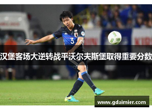 汉堡客场大逆转战平沃尔夫斯堡取得重要分数